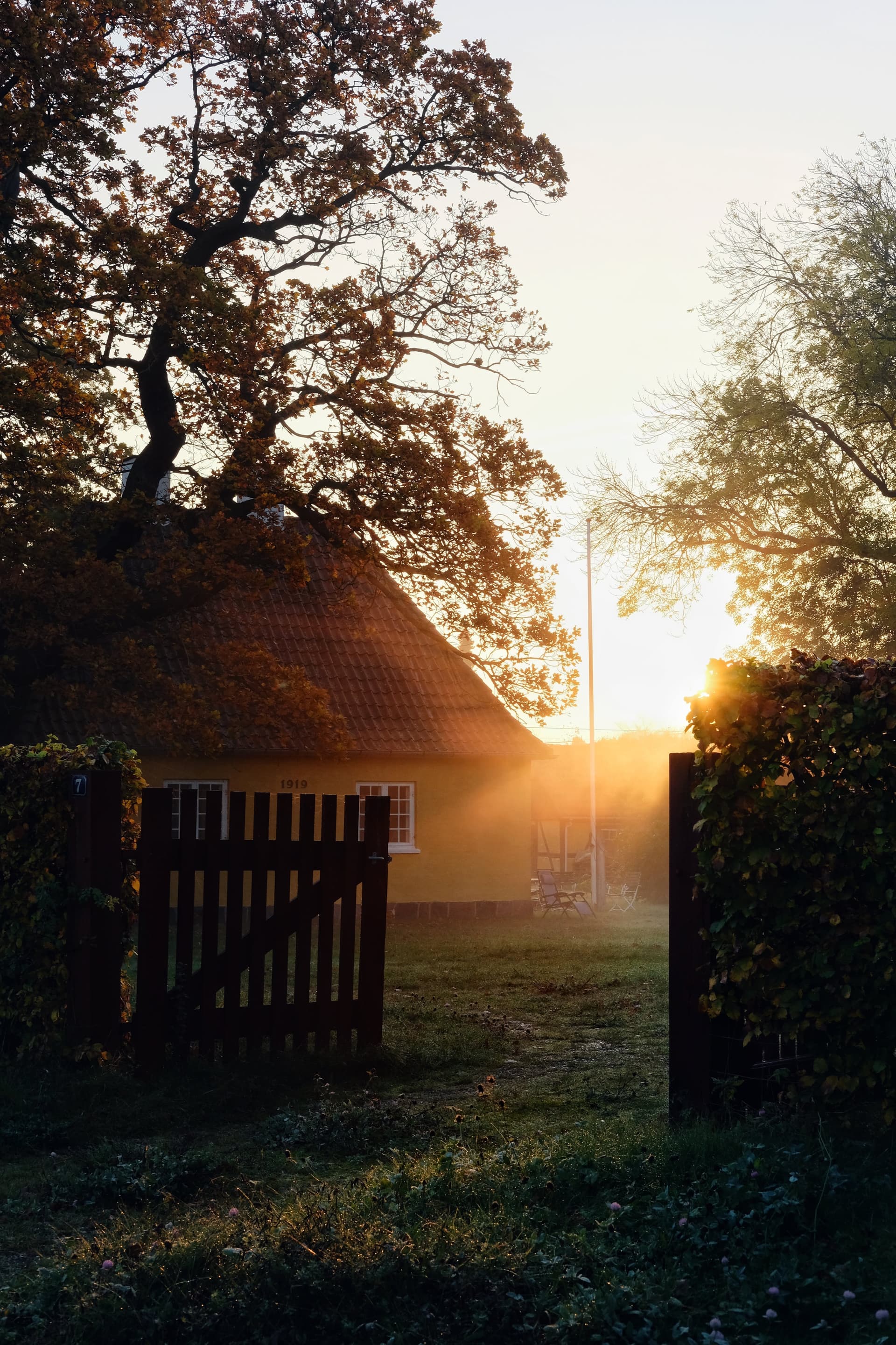 Sunrise through a fence in a yard